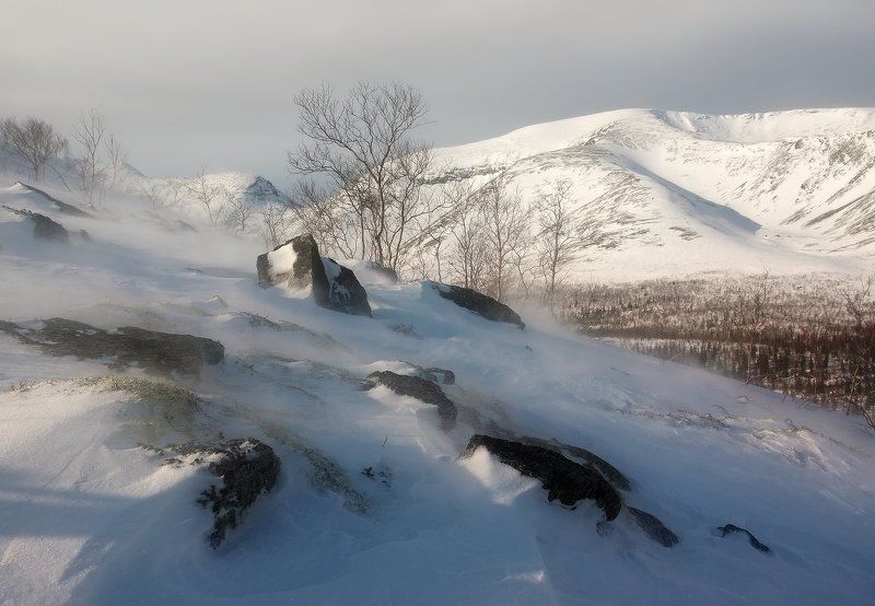 хибины Снежный ветерphoto preview