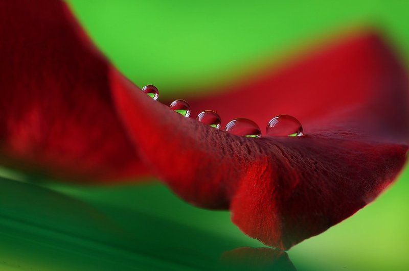 Изгибыphoto preview