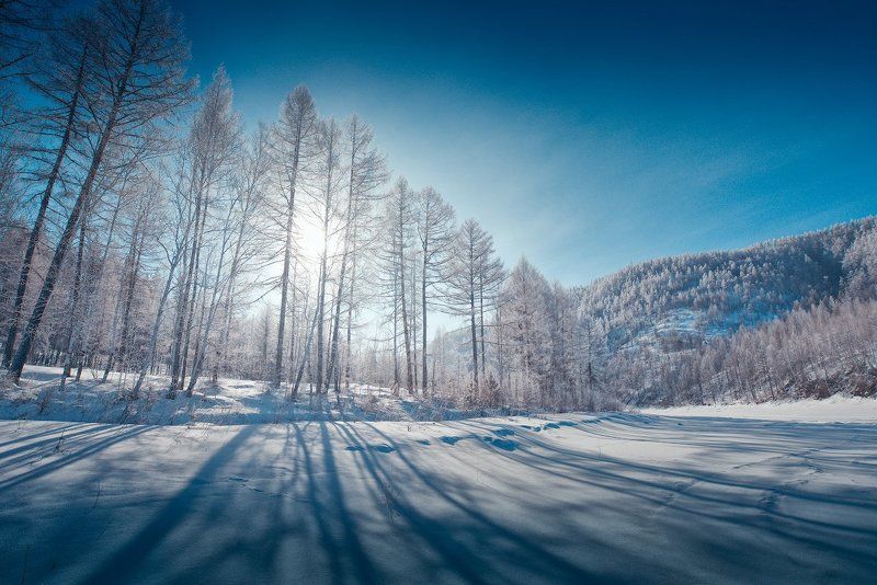 Морозко фото превью