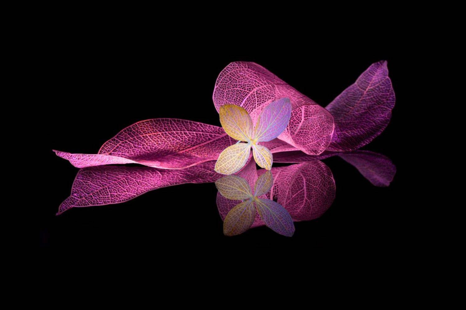 close-up, still-life, Игорь Копцев