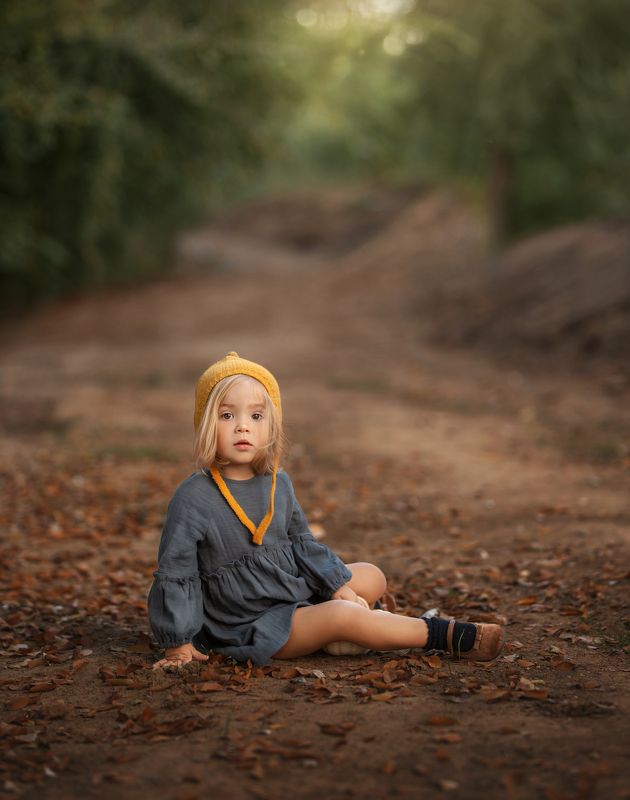 Autumn sunshinephoto preview