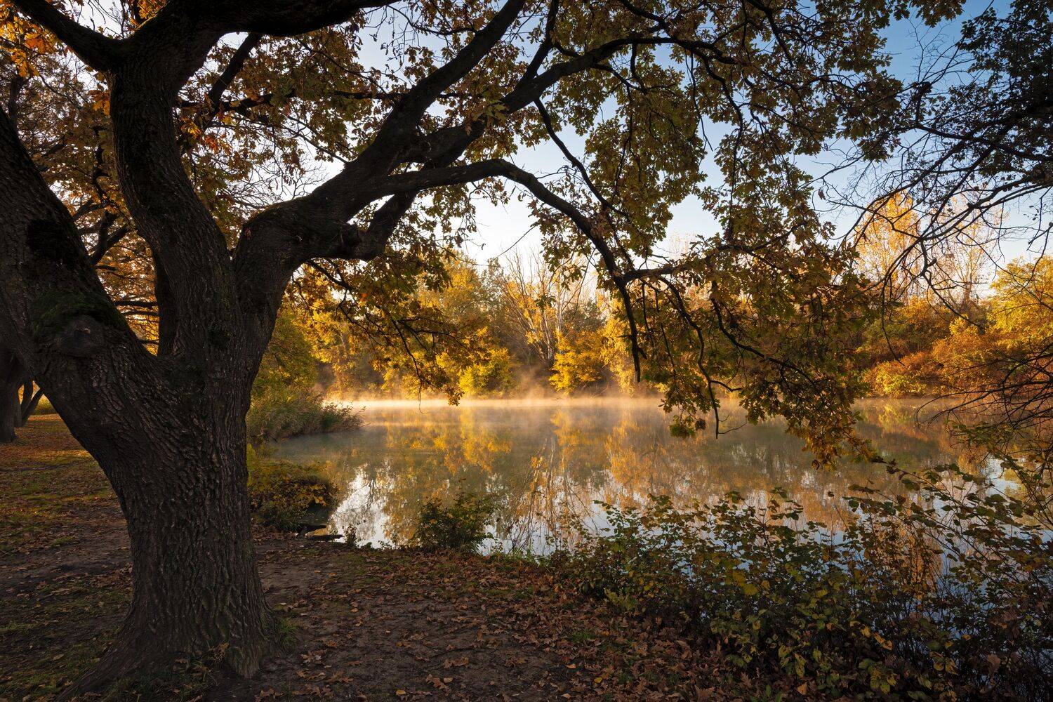 Утром. Автор: Алексей Рыльский утро, река, Алексей Рыльский