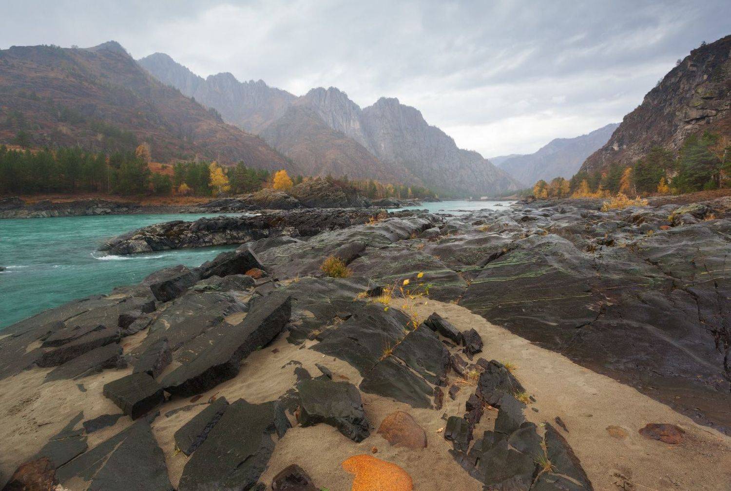 Автор: Сергей , Сергей