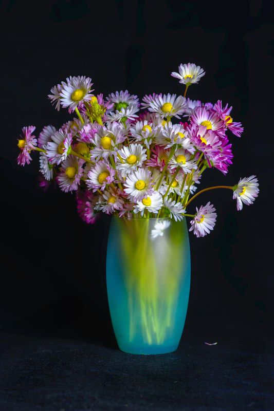 Маргариткиphoto preview