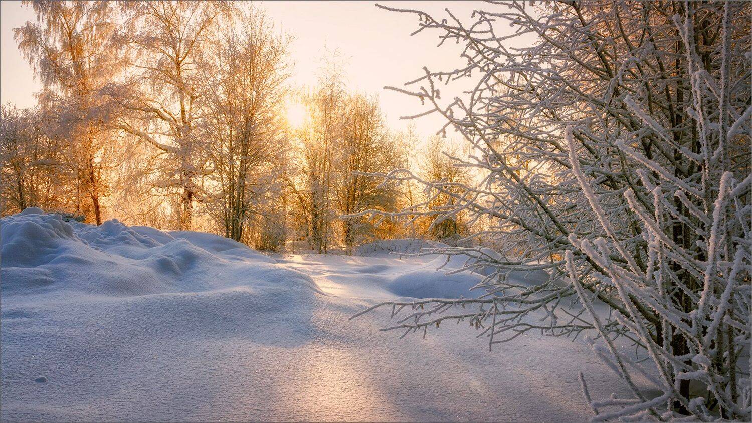 Утром в лесу.... Автор: Никитинский Александр пейзаж, зима, лес, снег, утро, свет, цвет, александр никитинский, Никитинский Александр