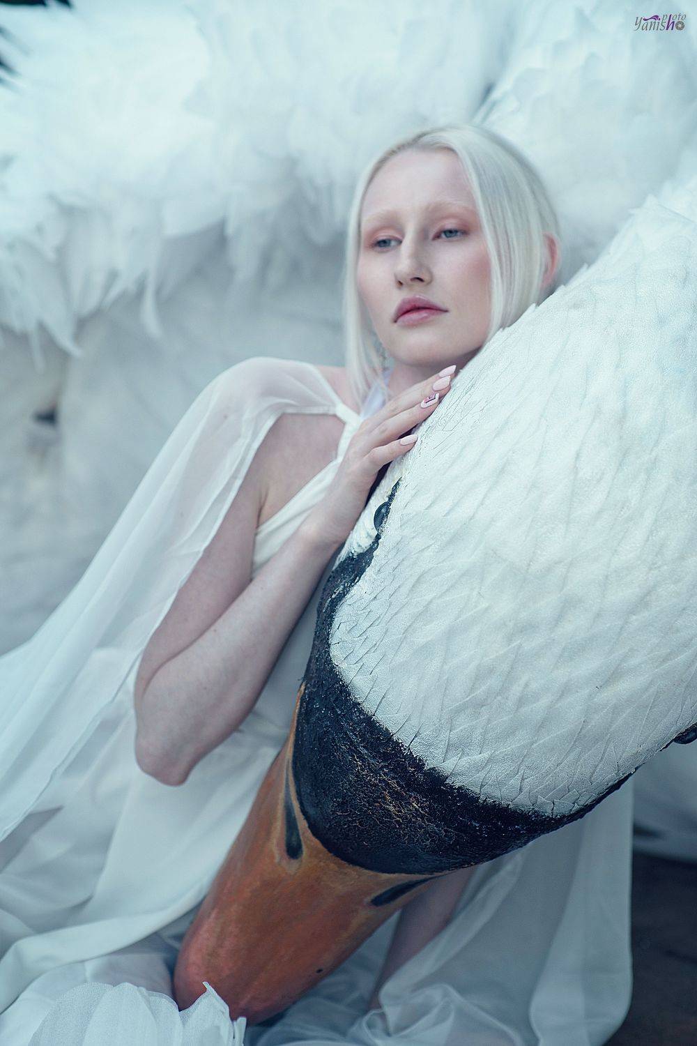 миф, Греция, альбинос, лебедь, арт, сказка, портрет, девушка, белый, Ермакова Янина