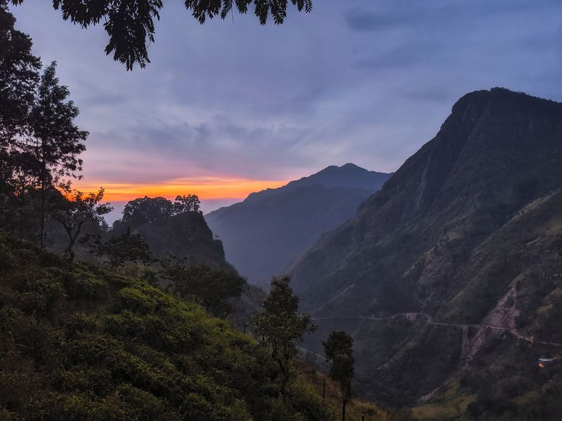 мобильная фотография, mobile photography, природа, пейзаж, sri lanka, nature, landscape Предрассветноеphoto preview