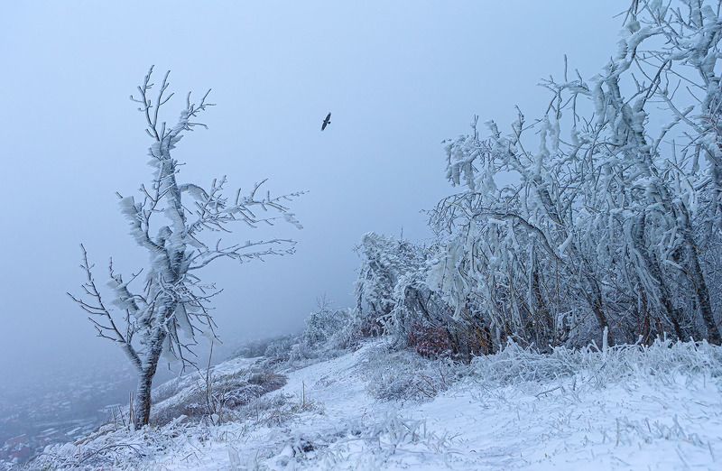 Встретились два одиночестваphoto preview