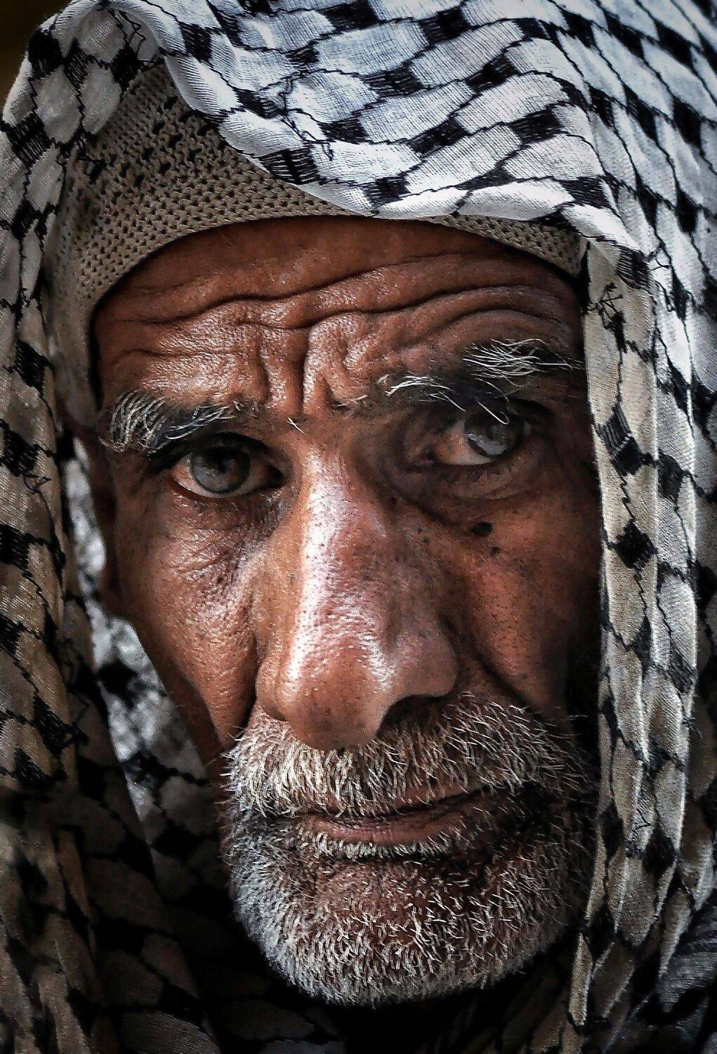 , غيث الساعدي