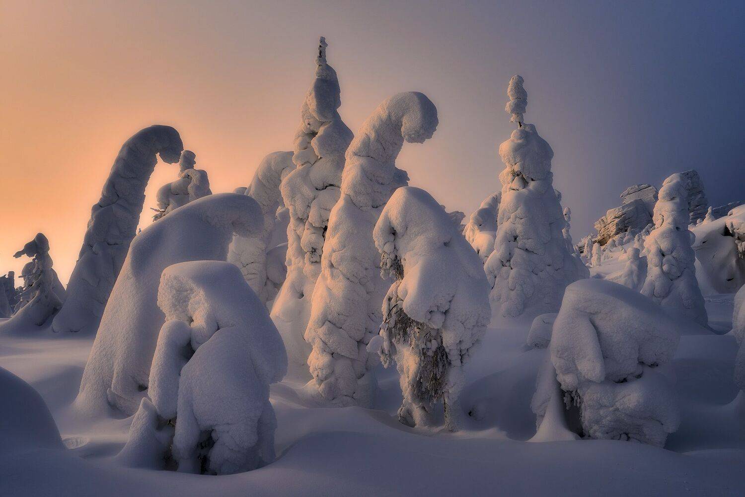 Снежная Парма. Автор: Сергей Межин , Сергей Межин