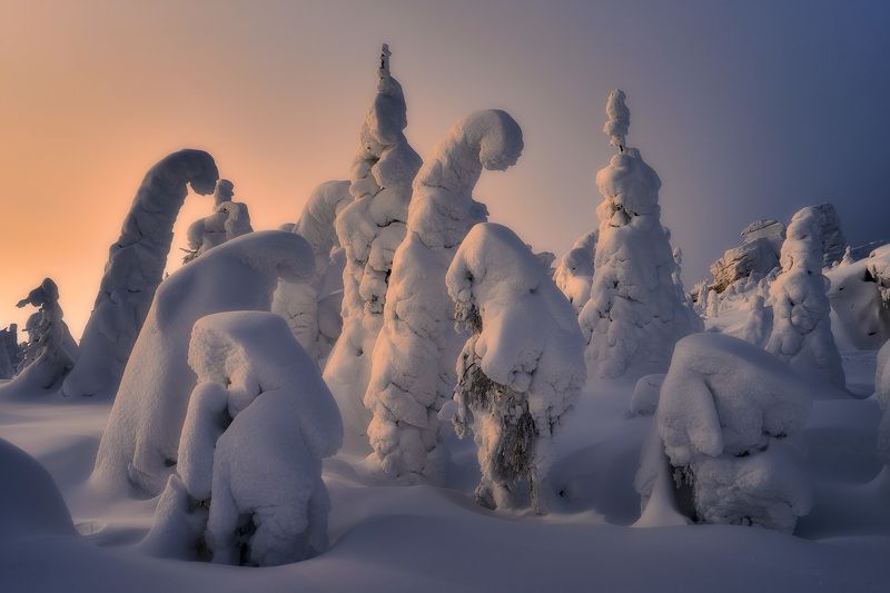 Снежная Пармаphoto preview