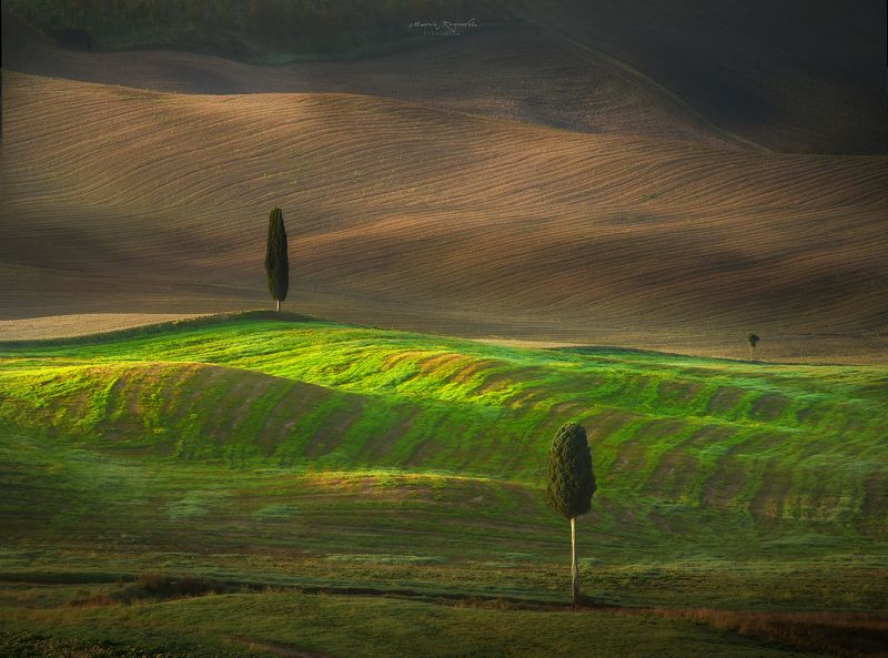 Trójka photo preview