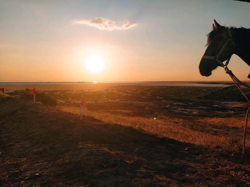 see the sunset, sunset, the horse, sun, watch the sunset Watch the sunsetphoto preview