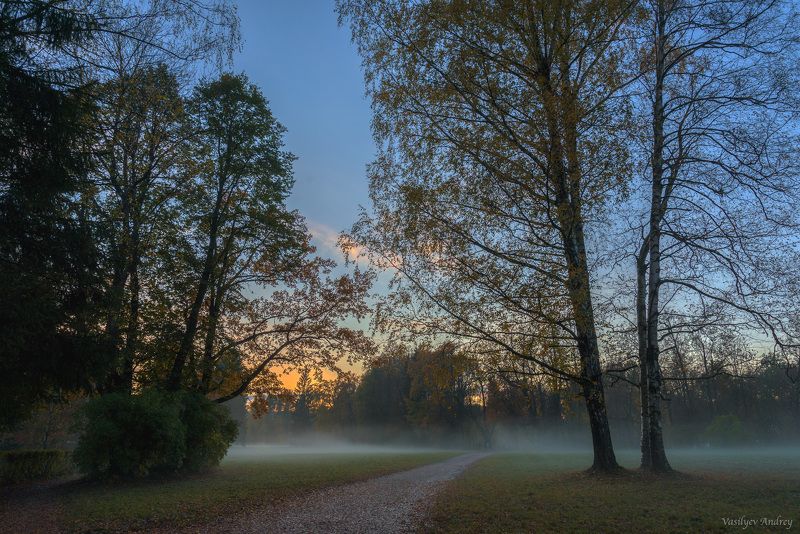 павловский парк, осень, вечер После дождяphoto preview