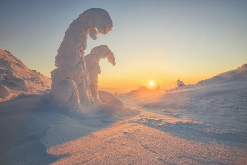 2021, россия, мурманская область, кольский полуостров, зима, утро, снег, мороз, солнце, туман, деревья, изморозь, горы ***photo preview