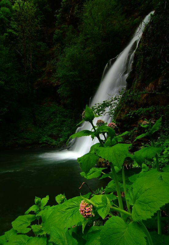 cascadas agua primavera agua flores naturaleza  Galicia-España \