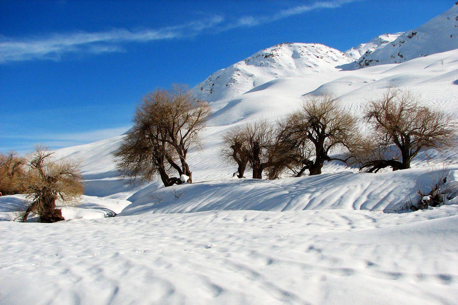 , mehdi karimi souderjani