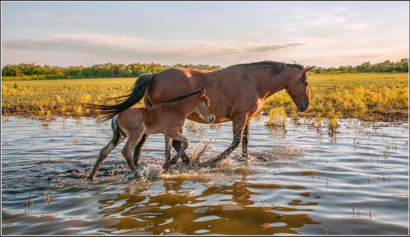 у села  камышово МАМА  С  СЫНОЧКОМphoto preview