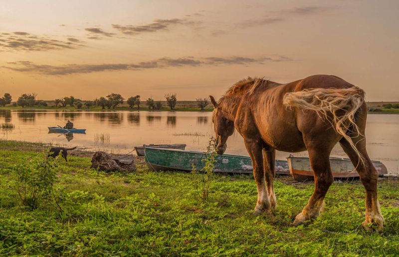 берег Деревенские зарисовкиphoto preview