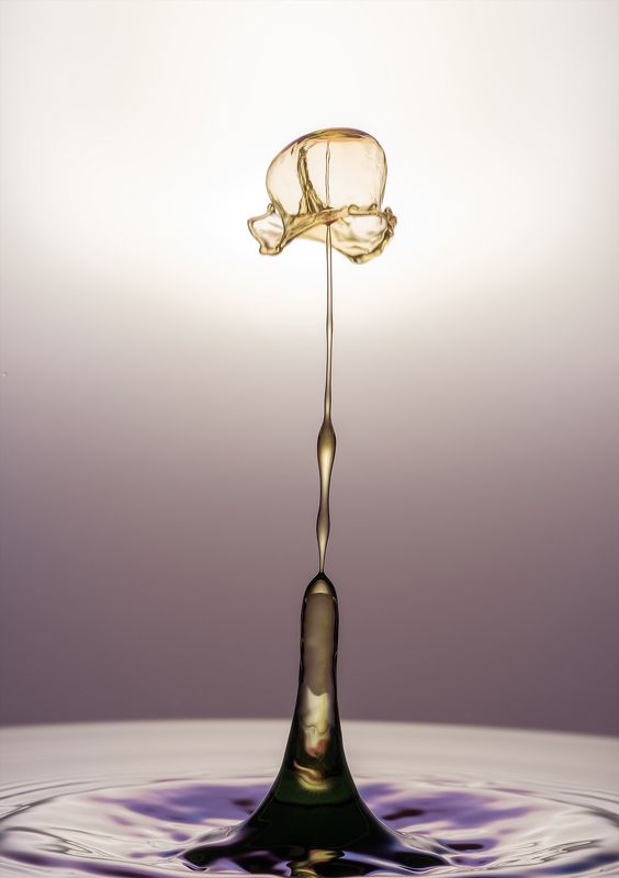 WATER,LIQUID,SPLASH PHOTOGRAPHY,ABSTRACT,TIME STOP,SPEED LIGTH,YOUSEF SAYADI,BLUE,YELLOW,MAGENTA,LIQUID ART,ABSTRACT ART,DROPS,MACRO,REFLECTIVE,HIGH SPEED PHOTOGRAPHY Nightcapphoto preview