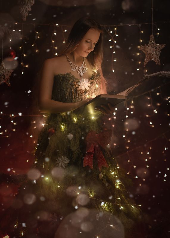 a Wonderfull Christmastree storyphoto preview