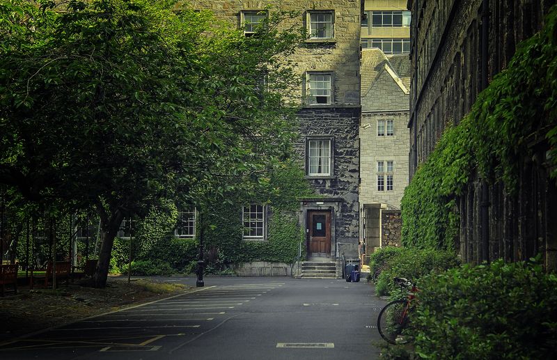 ирландия,дублин,тринити колледж Пройтись по Тринитиphoto preview