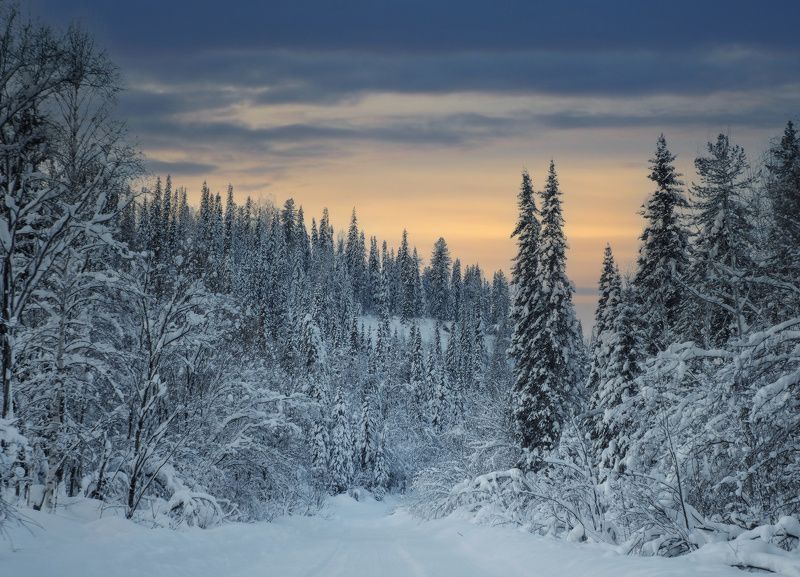 сибирь, междуреченск, кузбасс, тайга, зима, закат, зимний лес, кузнецкий алатау Таёжная дорогаphoto preview