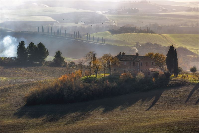 italy,san quirico d\\\'orcia,italia,туман,италия,тоскана,pienza,кипарис,toscana,осень,tuscany,cipressi,belvedere,пьенца Утро в дымкеphoto preview