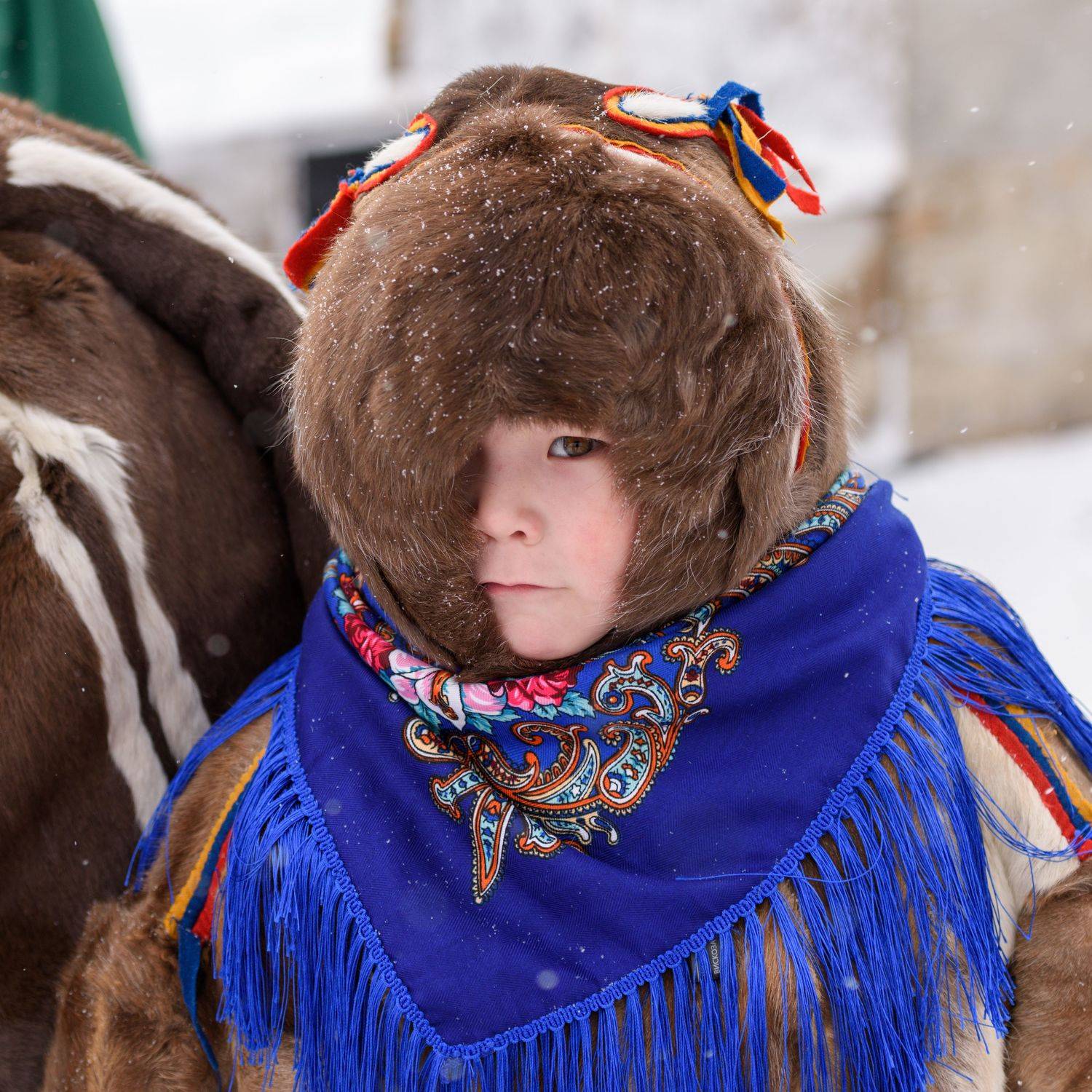 ненцы ямал ребенок, Олег Сторожев