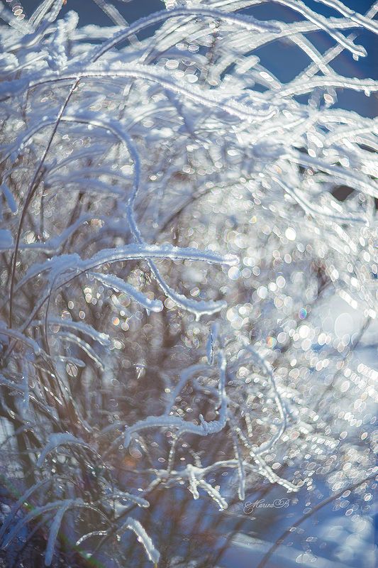 Природа в хрустале (часть 2)photo preview