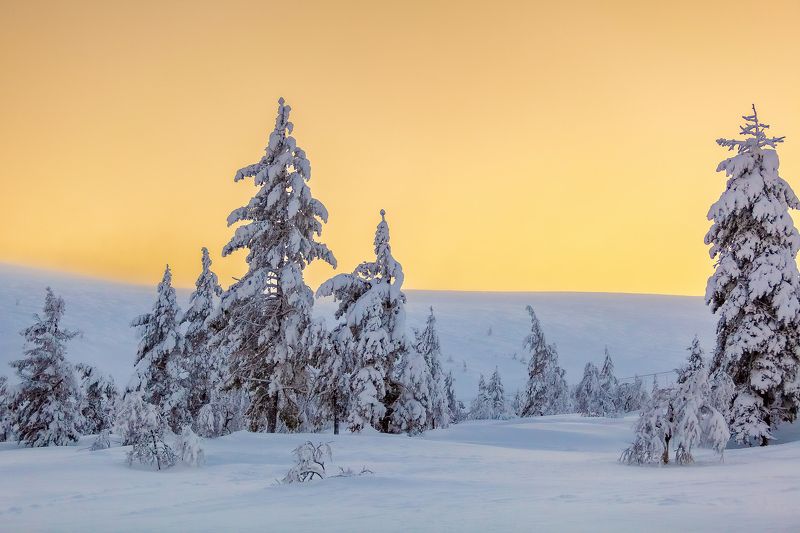 пейзаж, природа, зима, день, снег Рассветphoto preview