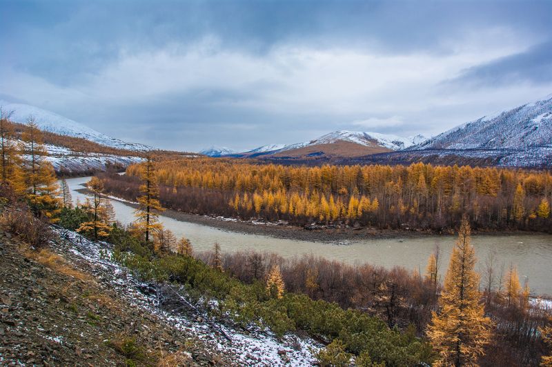 Гербаphoto preview