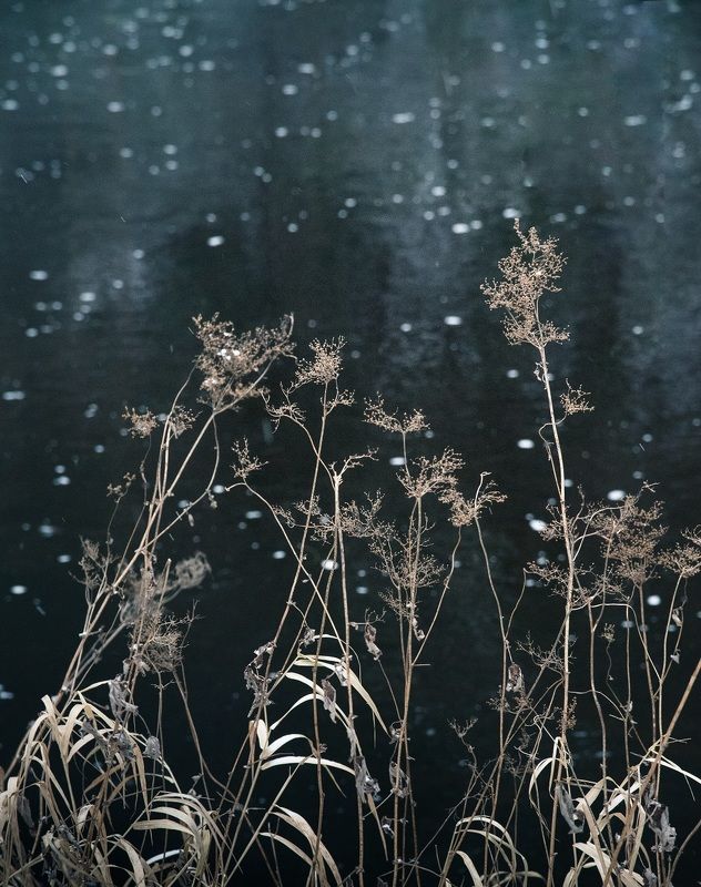 Галактикаphoto preview