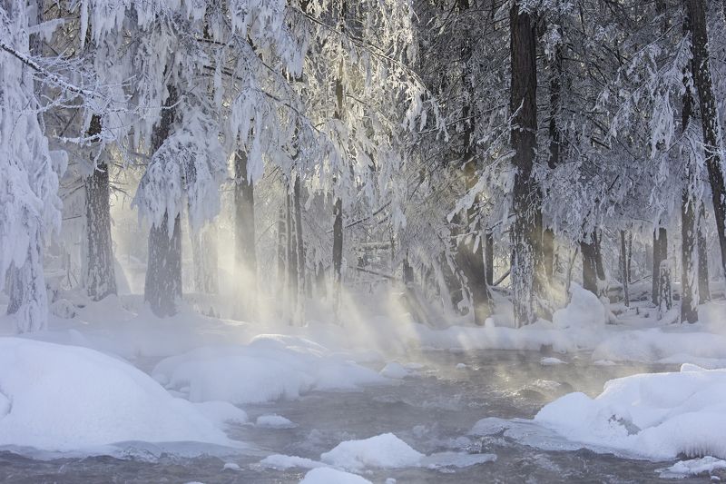 Утро туманноеphoto preview