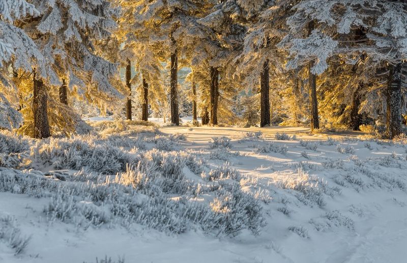 Światłem malowanephoto preview