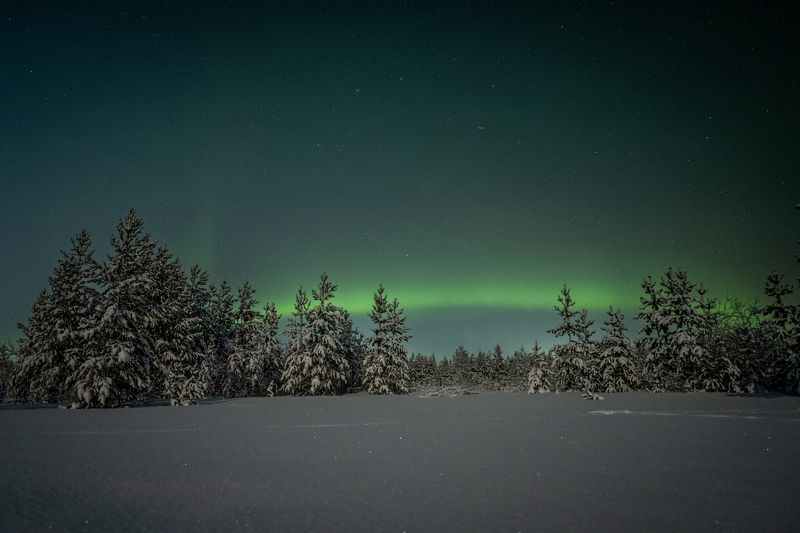 ямал, надым, небо, мороз, аврора, северносияние, живемнасевере, янао, никон, пейзаж, астрофото Аврораphoto preview