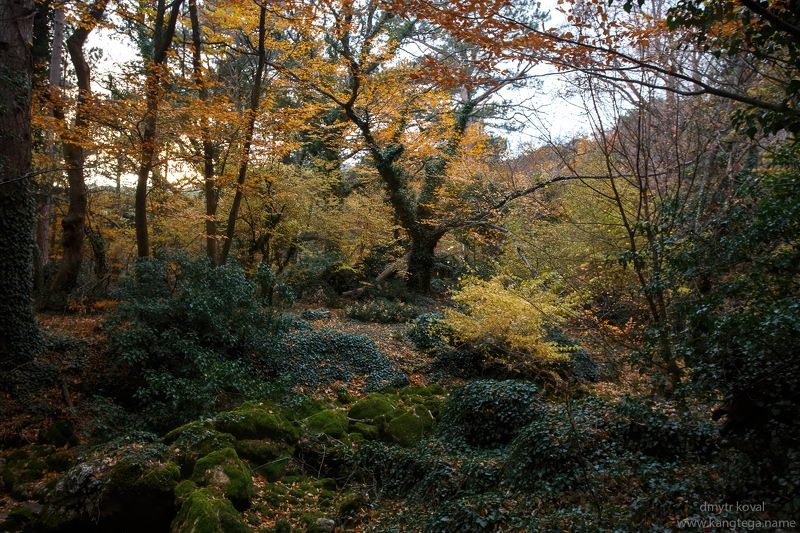 дмитр коваль, крымские горы вне треков У потока мшистых камней... фото превью