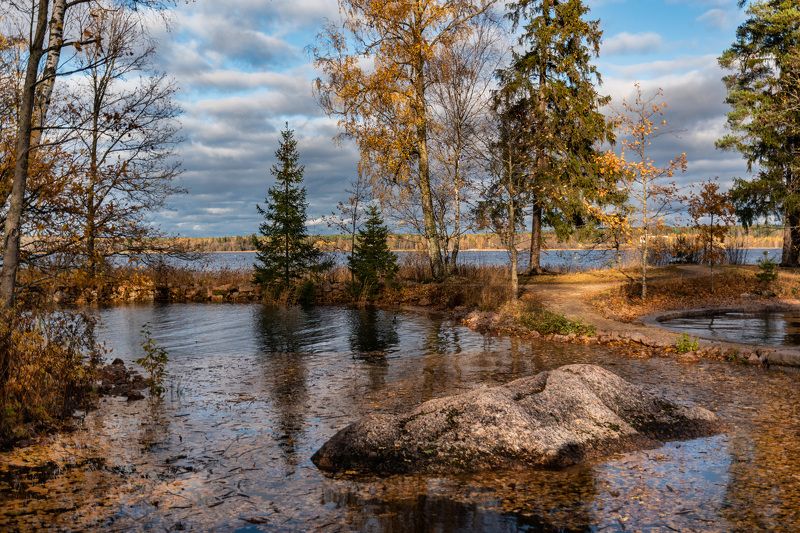autumn landscape осень монрепо Осень в Монрепоphoto preview