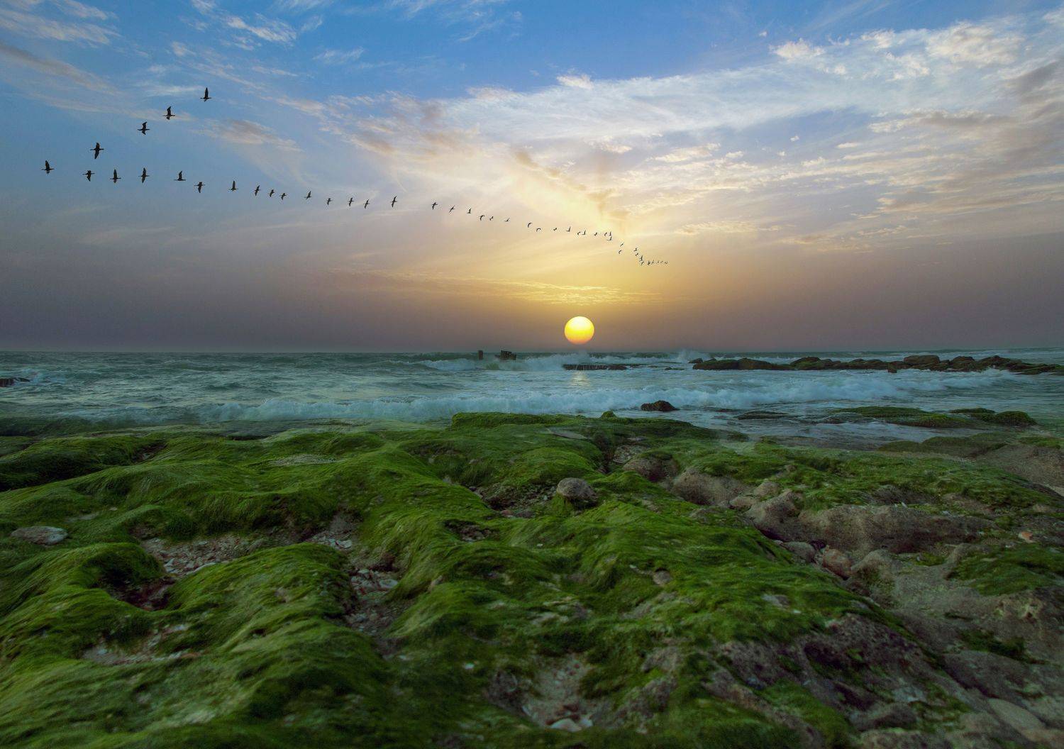 Настала пора возвращаться .... Автор: Вадим Городницкий , Вадим Городницкий