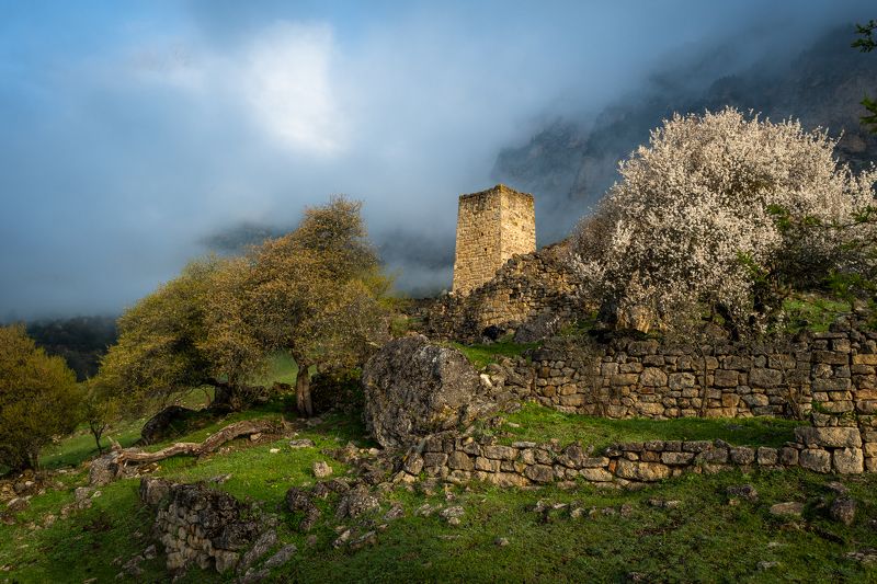 landscape, mountains, ingushetia, fort, green, field, пейзаж, кавказ, природа, горы, ингушетия, крепость The fogphoto preview