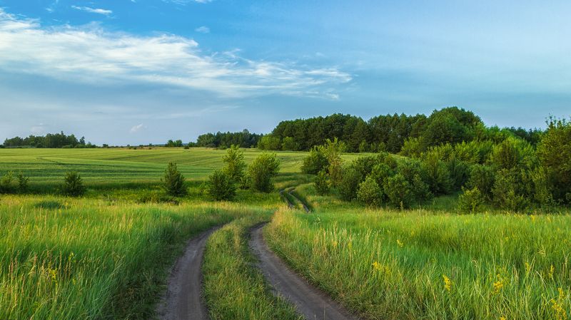 Лето фото превью