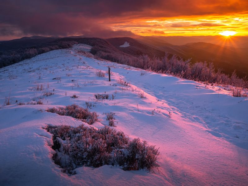 poloniny,slovakia,national park,snow,wind,cold,sunrise,sun When poloniny are waking upphoto preview