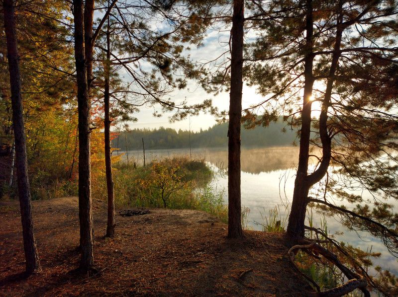 осень, природа, карьер, утро, рассвет Золотой рассвет октября.photo preview