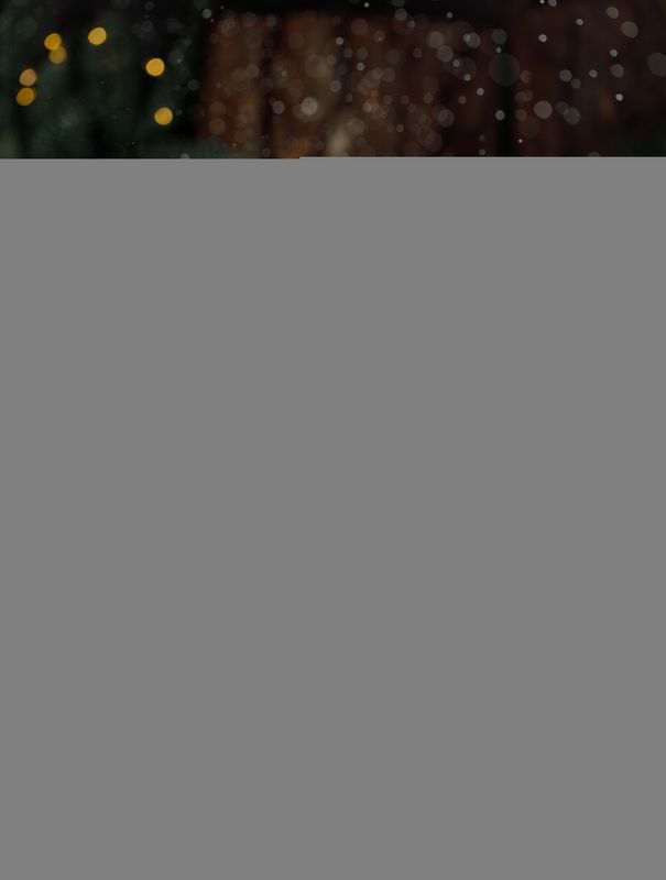 рождество, новый год, мандарины, фуд фото, фуд фотография Christmas moodphoto preview