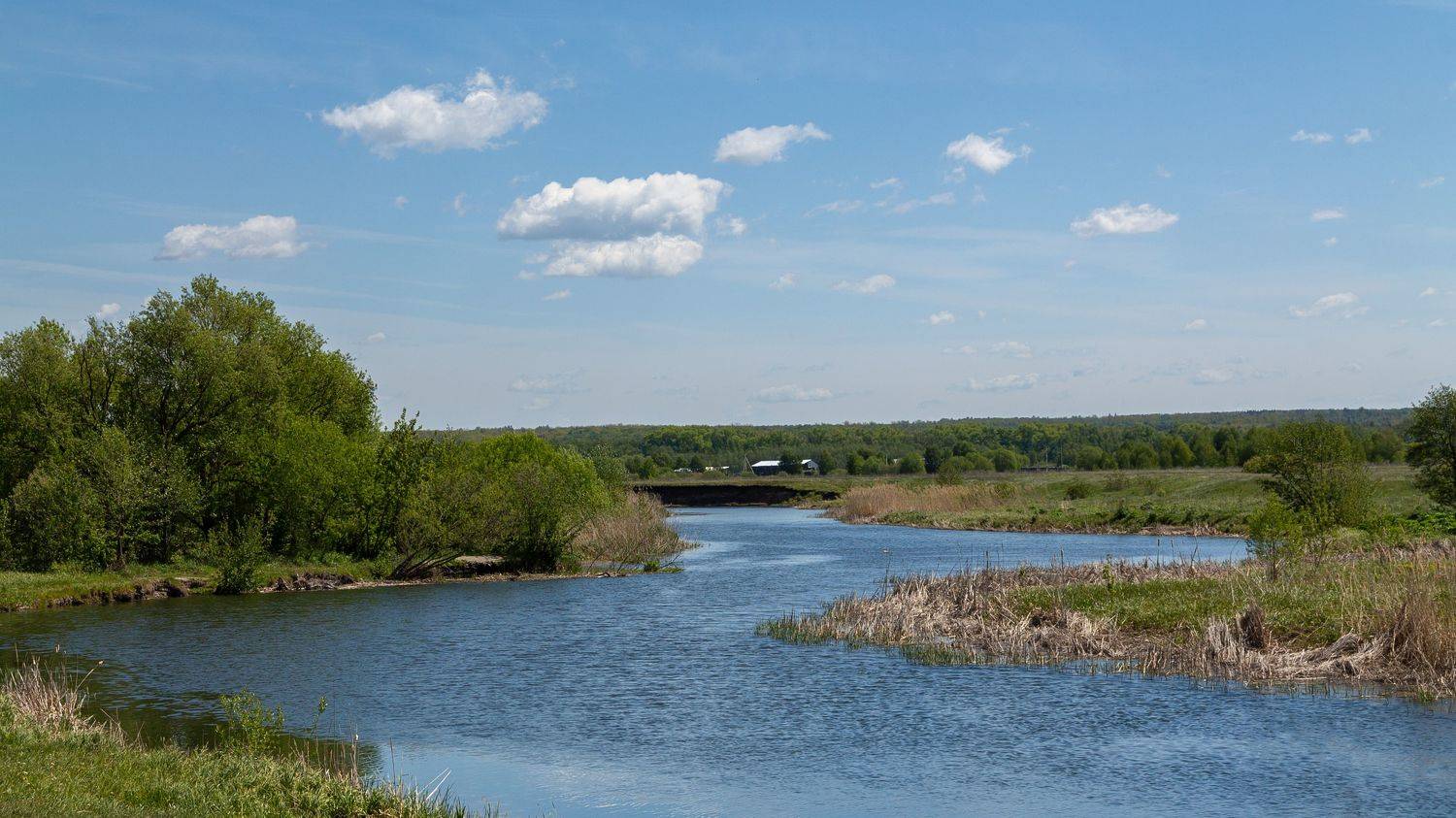 Май. Автор: Елисеев Александр , Елисеев Александр