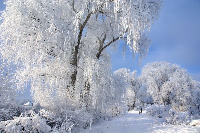 Русская зима.photo preview