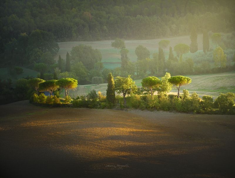 Poranekphoto preview