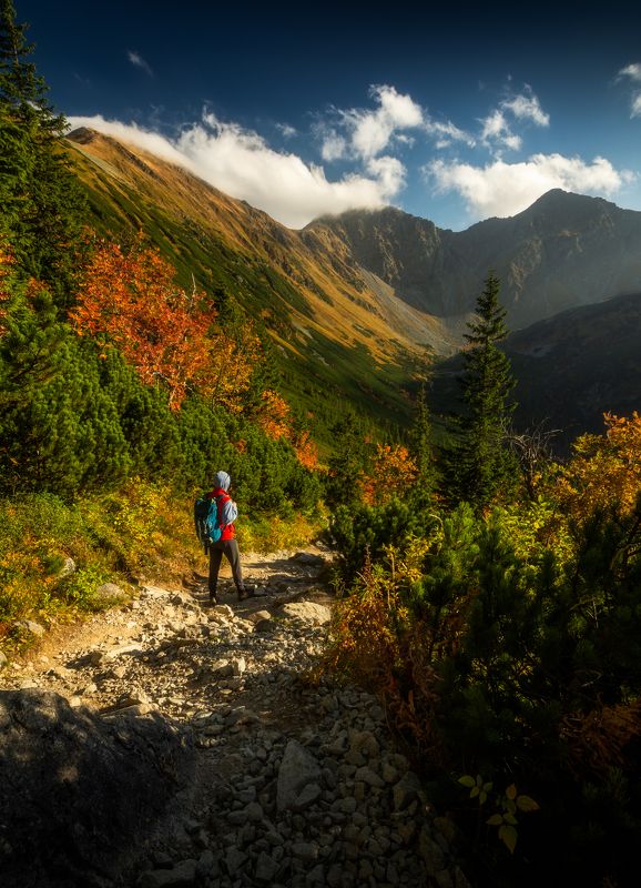 mountain, mountains, autumn, person, people, sunset Autumn roadphoto preview