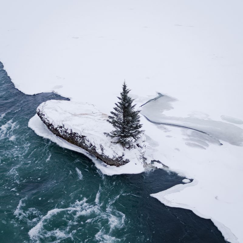 Oдинокая....photo preview