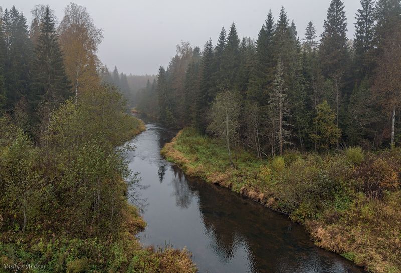 осень, малая коша, тверская область, природа ***photo preview